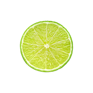 Cross-section slice of a lime on a white background